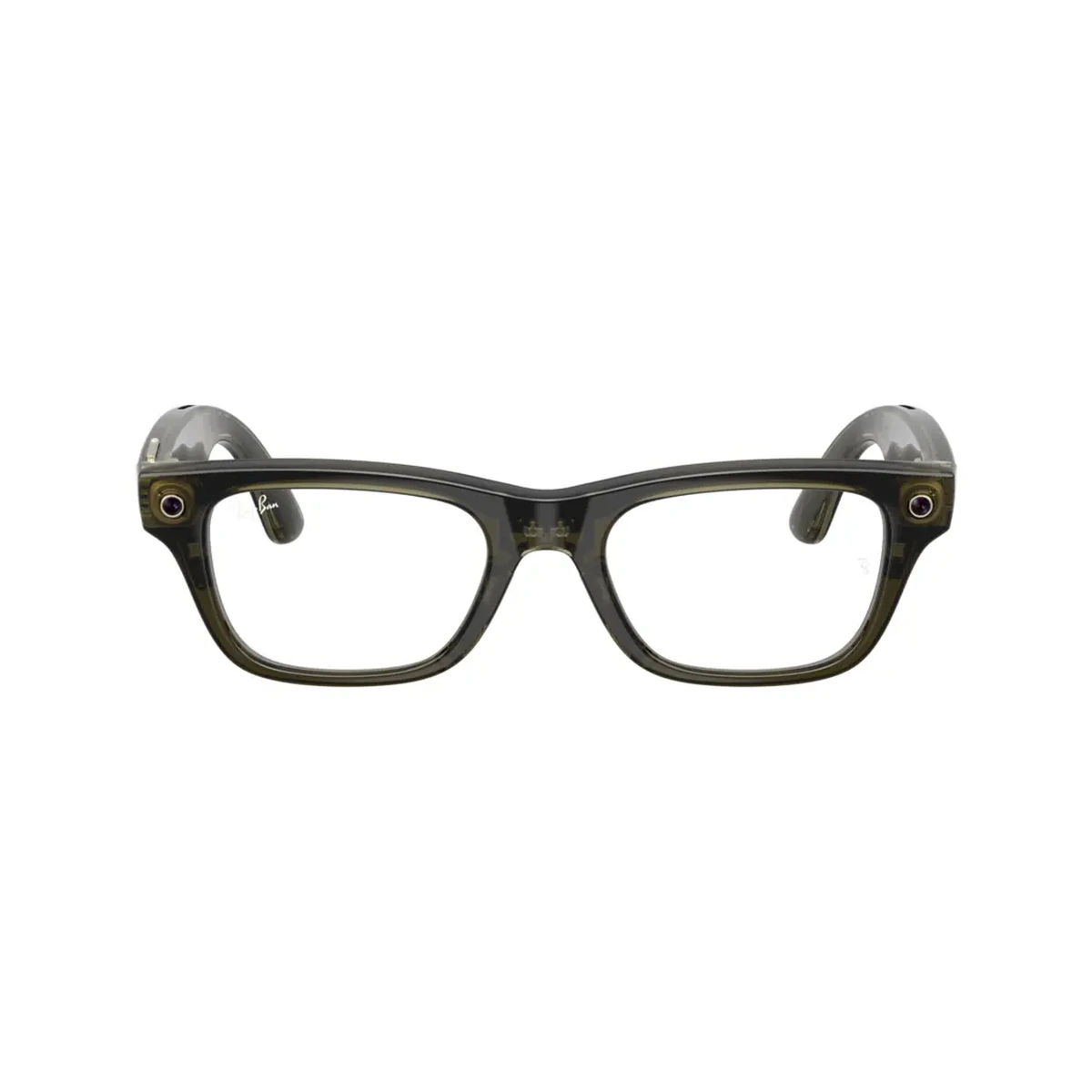 Meta Blayzer Optics Gen 2 RW7001 Shiny Transparent Dark Olive / Demo Lens, фото 1