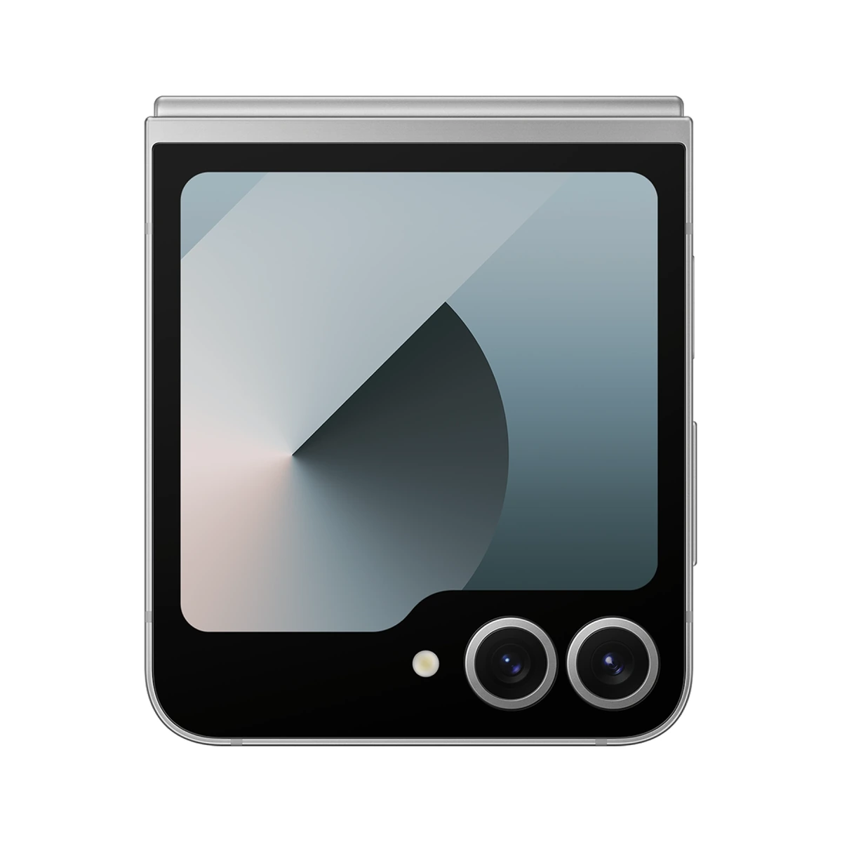 Galaxy Z Flip 6 256 ГБ Silver Shadow, фото 5