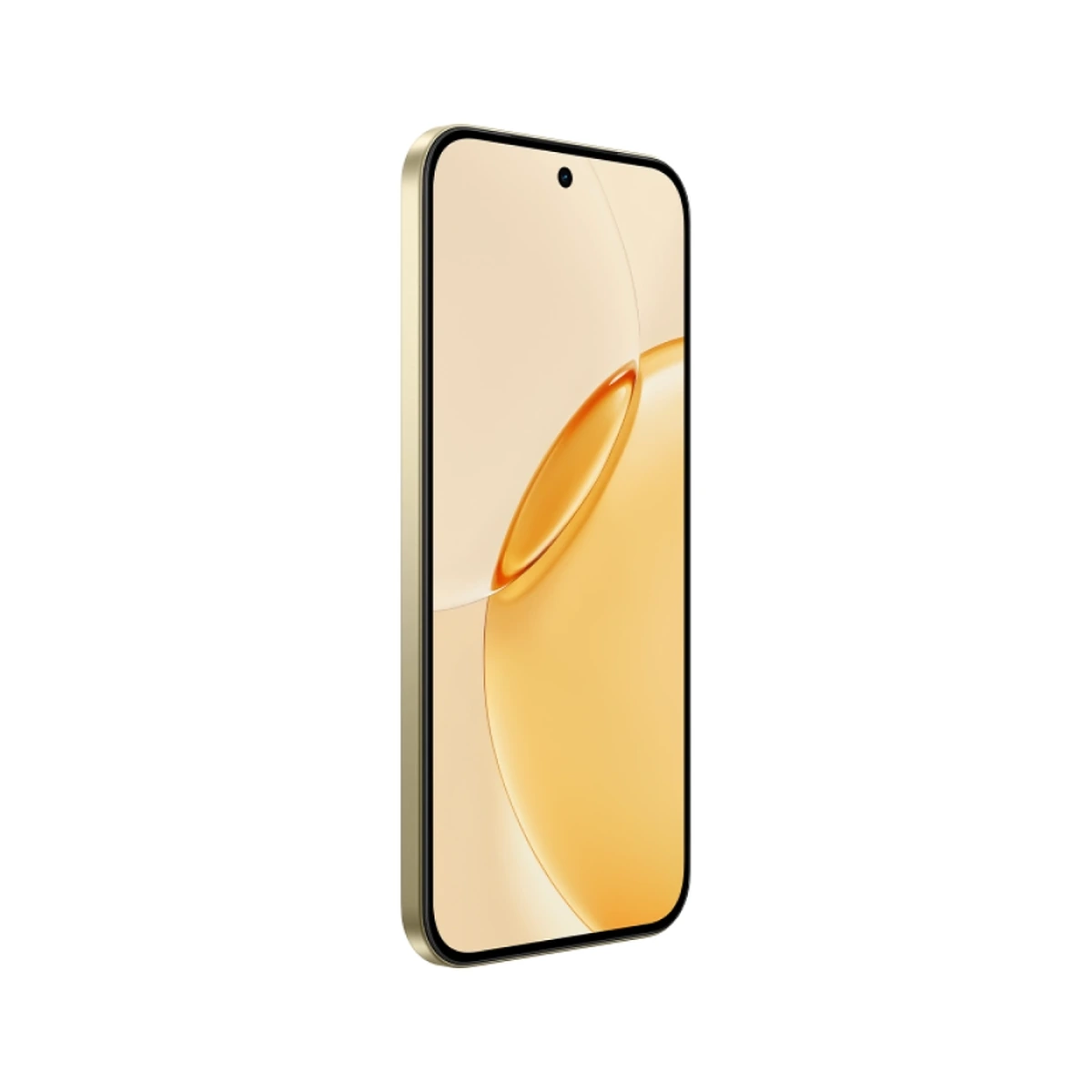16 Pro 5G 256 ГБ Master Gold, фото 2
