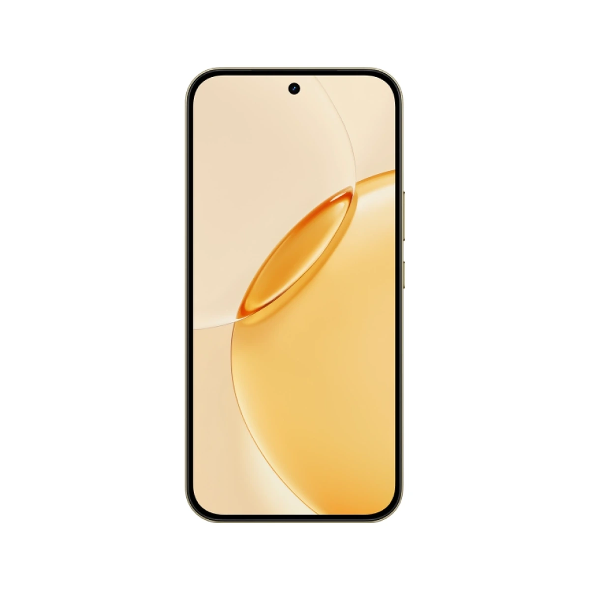 16 Pro 5G 256 ГБ Master Gold, фото 3