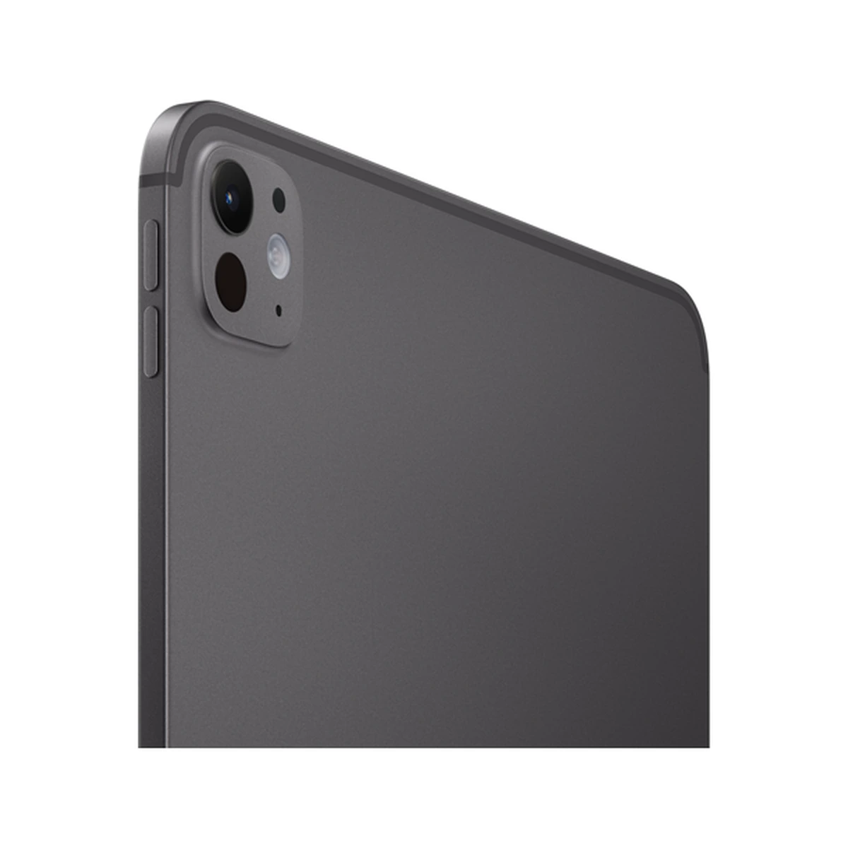 iPad Pro 11 M4 1 ТБ Space Black, фото 3