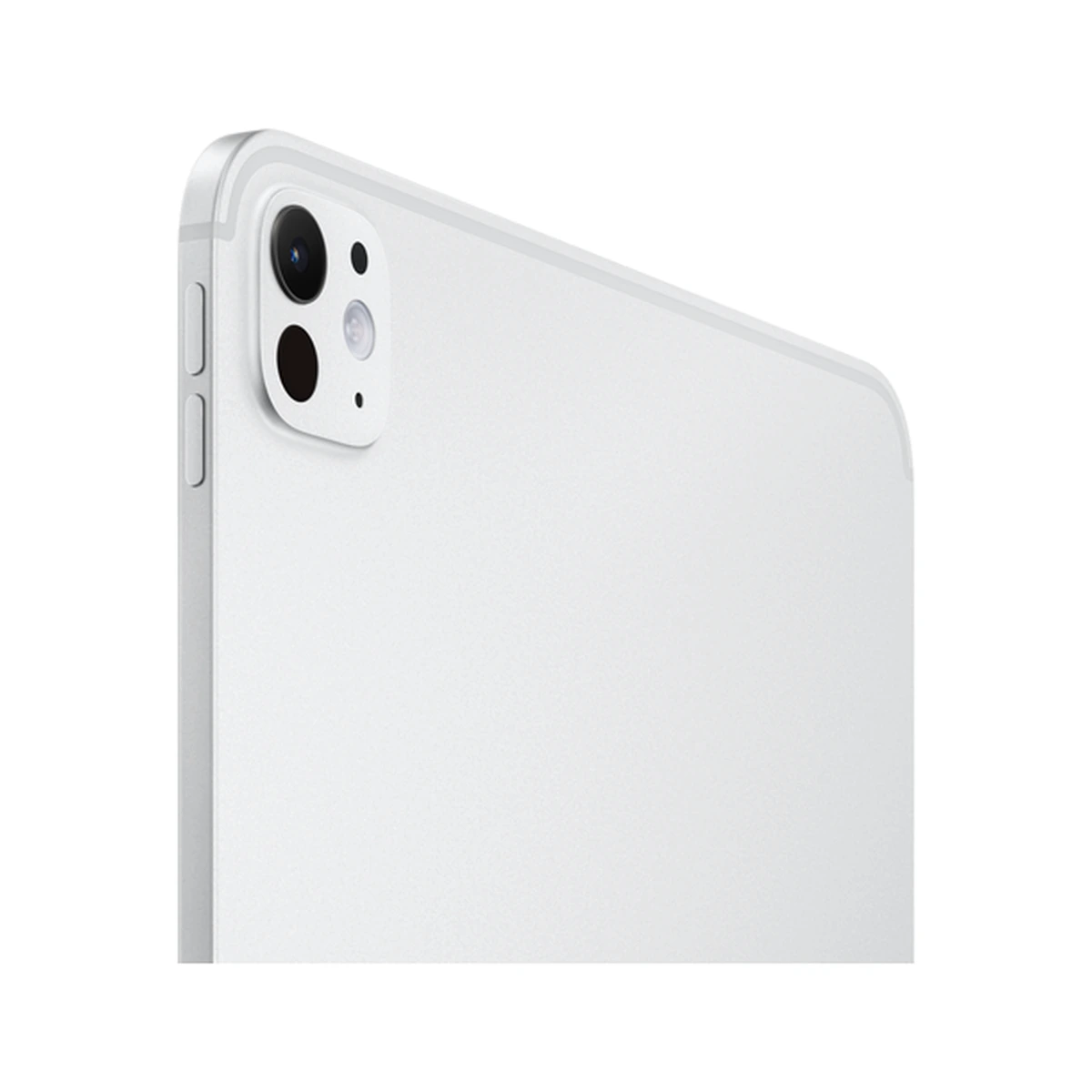 iPad Pro 11 M4 256 ГБ Silver, фото 3