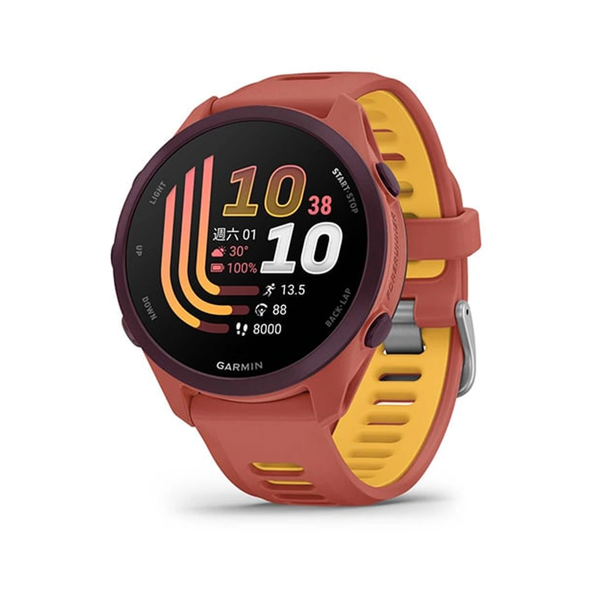 Forerunner 170  Red Pink, фото 1