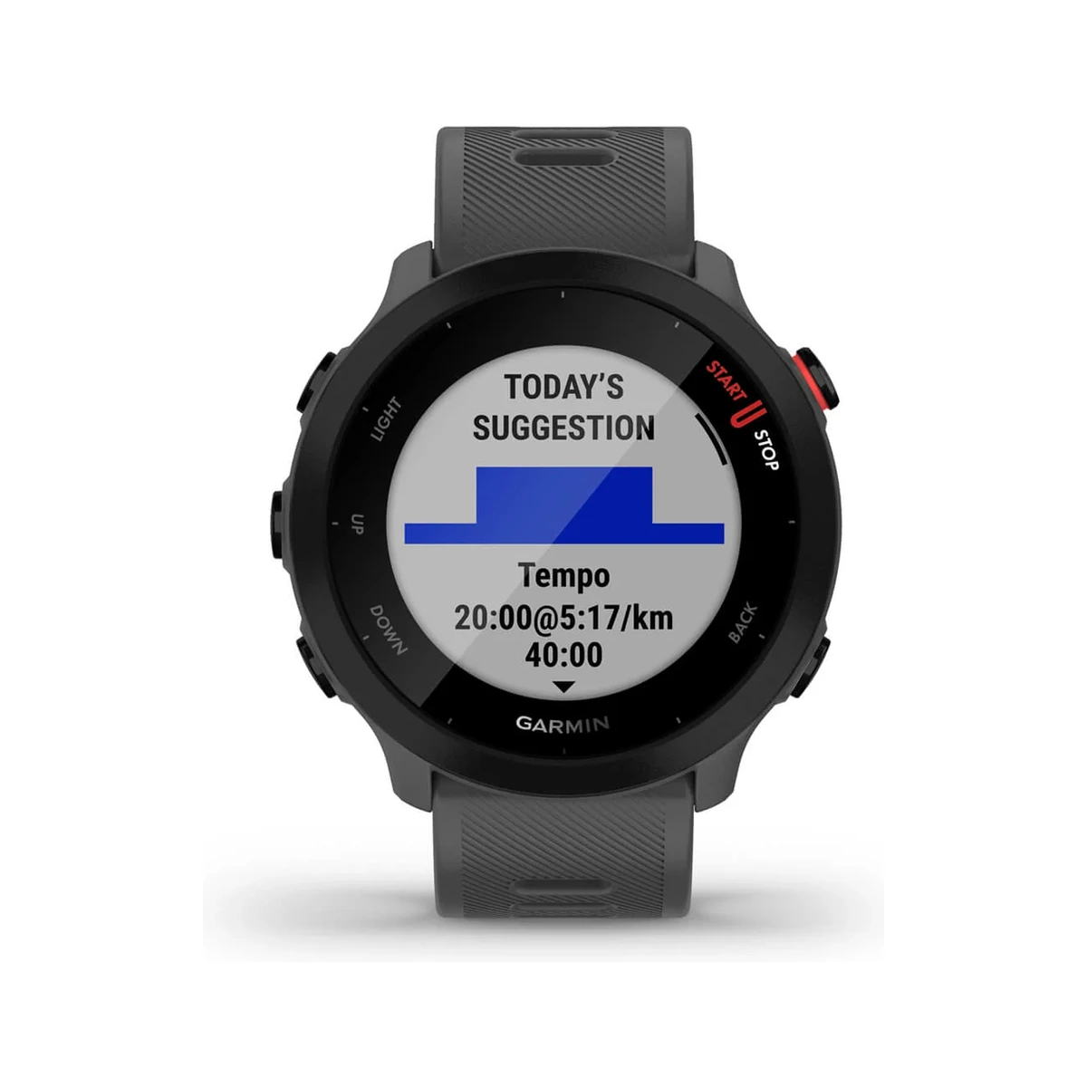 Forerunner 55  Gray, фото 2