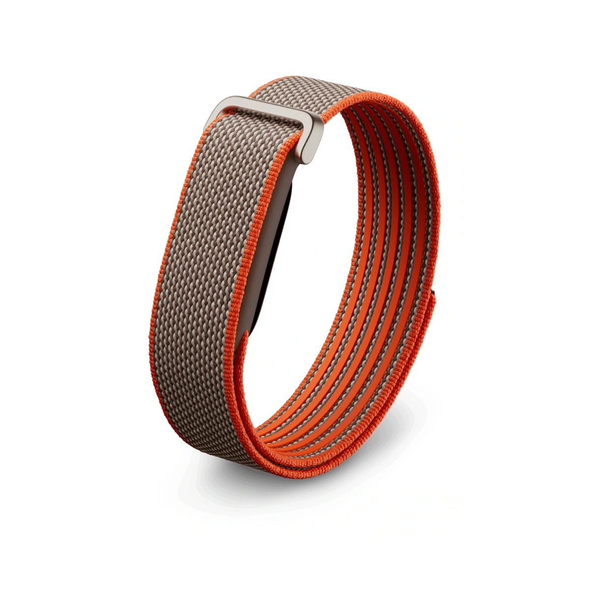 Fitbit Air  Rye, фото 1