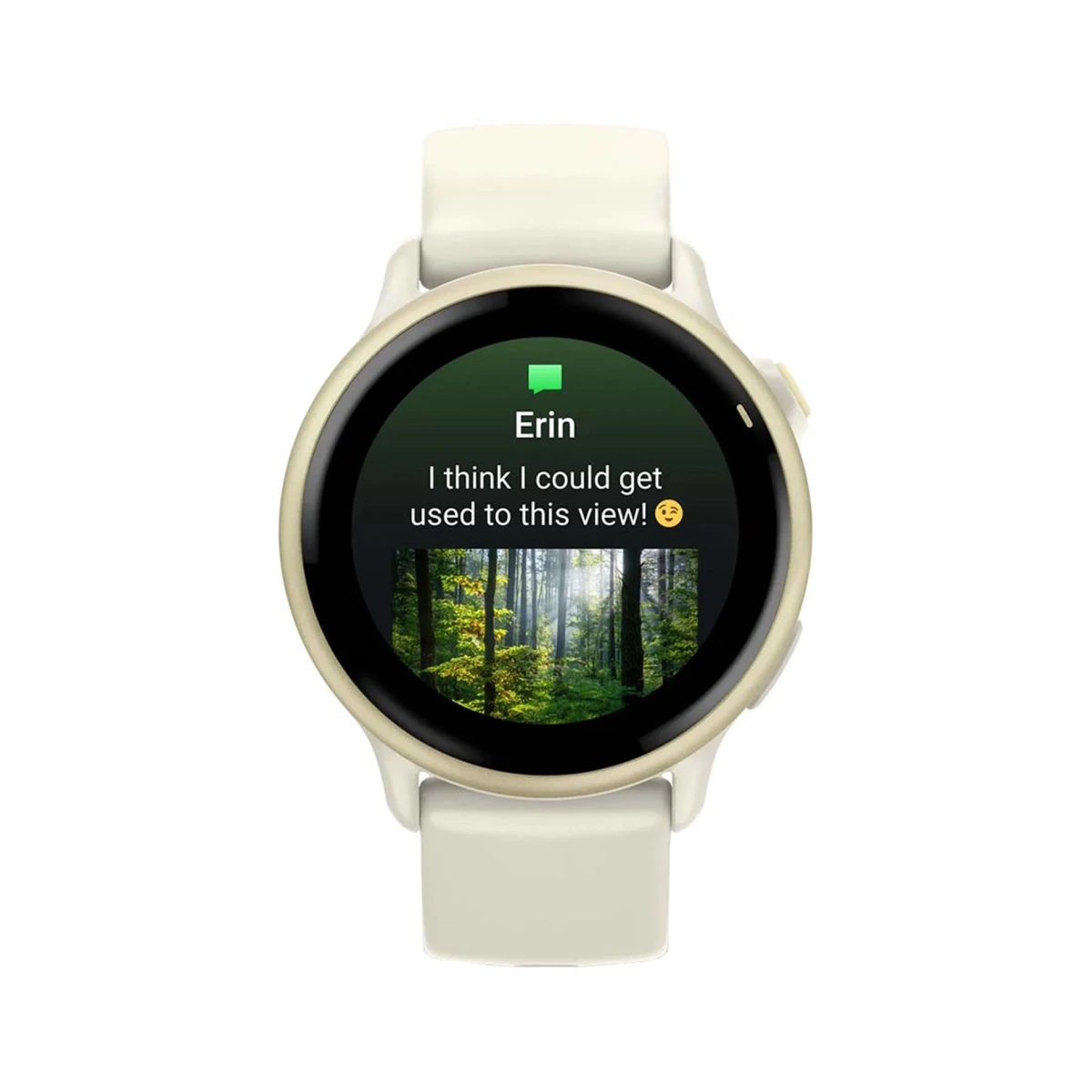 Vivoactive 6  Gold, фото 3